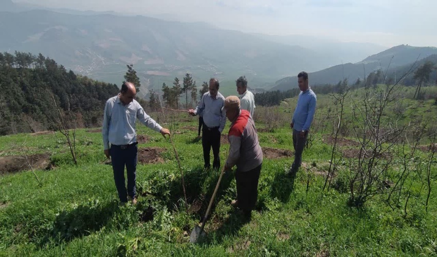 بازدید کارشناسان منابع طبیعی کلاله از طرح جنگلکاری ۵۸ هکتاری قوشه‌سو