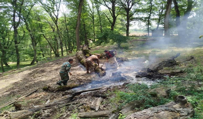 اطفاء حریق در اراضی مرتعی روستای قربان‌پیکار و همچنین یانبلاغ گلیداغ مراوه‌تپه
